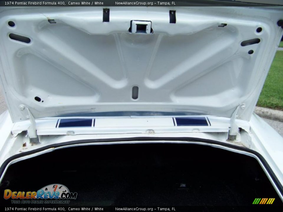 1974 Pontiac Firebird Formula 400 Cameo White / White Photo #22