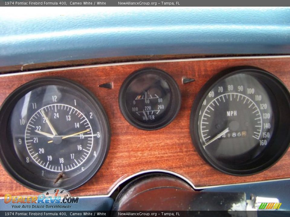 1974 Pontiac Firebird Formula 400 Cameo White / White Photo #27