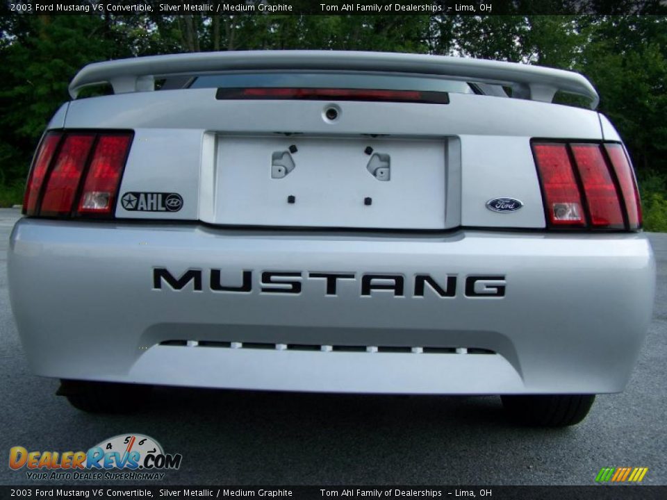 2003 Ford Mustang V6 Convertible Silver Metallic / Medium Graphite Photo #6