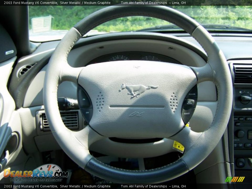 2003 Ford Mustang V6 Convertible Silver Metallic / Medium Graphite Photo #20