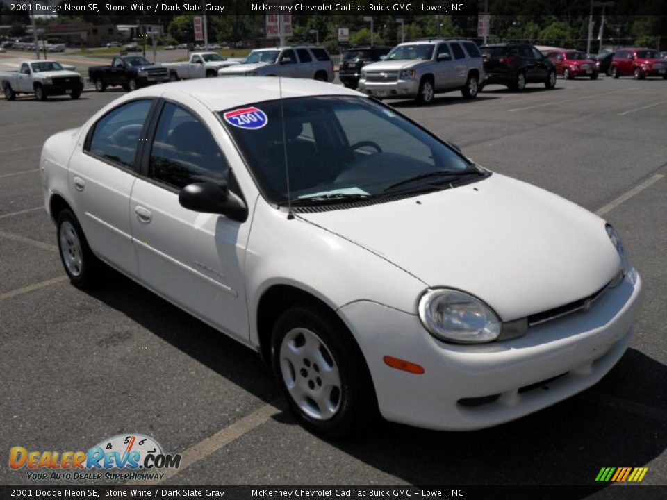 2001 Dodge Neon SE Stone White / Dark Slate Gray Photo #5