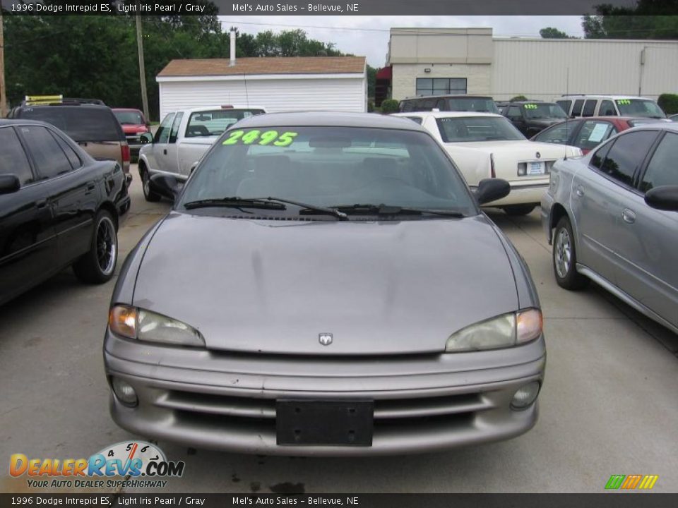 1996 Dodge Intrepid ES Light Iris Pearl / Gray Photo #3