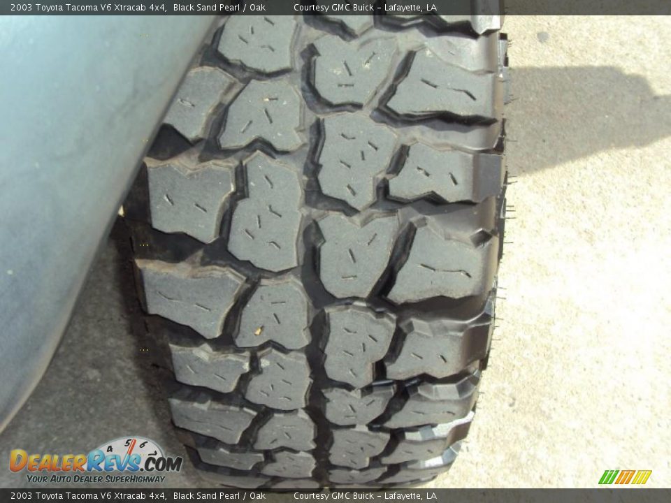 2003 Toyota Tacoma V6 Xtracab 4x4 Black Sand Pearl / Oak Photo #16
