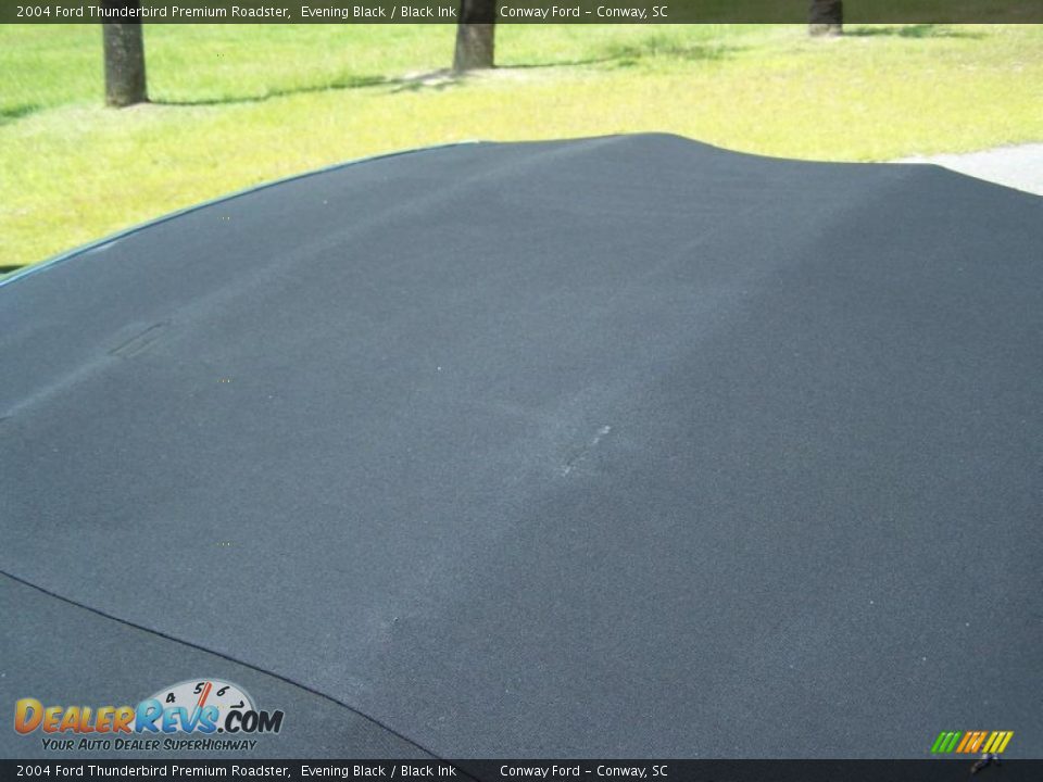 2004 Ford Thunderbird Premium Roadster Evening Black / Black Ink Photo #13
