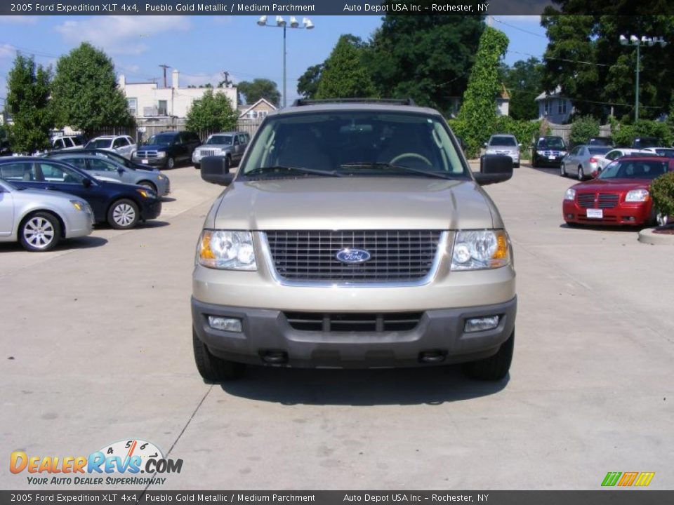 2005 Ford Expedition XLT 4x4 Pueblo Gold Metallic / Medium Parchment Photo #3