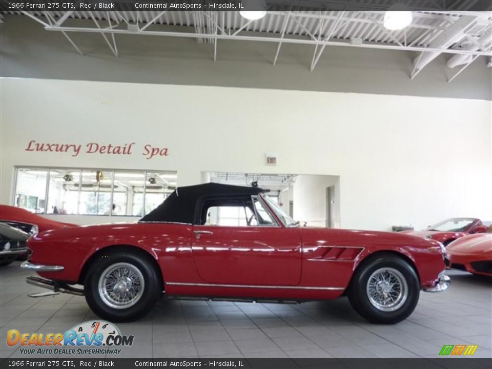 1966 Ferrari 275 GTS Red / Black Photo #4