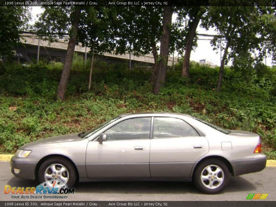 1998 Lexus ES 300 Antique Sage Pearl Metallic / Gray Photo #3