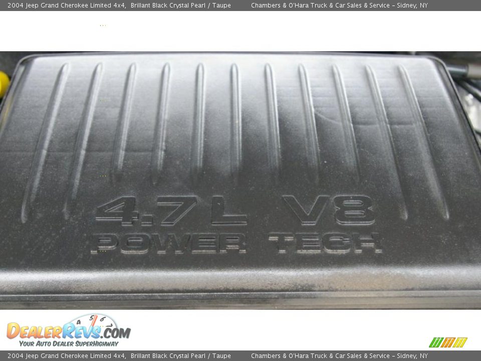 2004 Jeep Grand Cherokee Limited 4x4 Brillant Black Crystal Pearl / Taupe Photo #21
