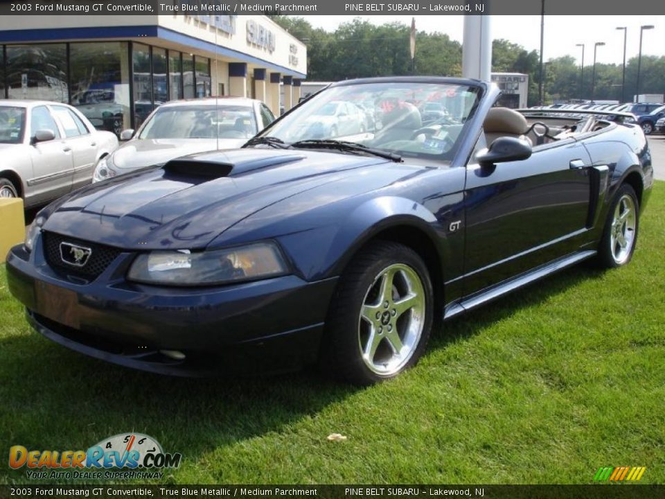 2003 Ford Mustang GT Convertible True Blue Metallic / Medium Parchment Photo #1