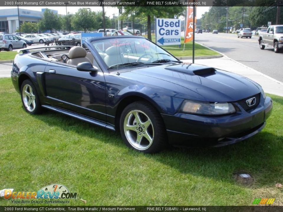 2003 Ford Mustang GT Convertible True Blue Metallic / Medium Parchment Photo #3