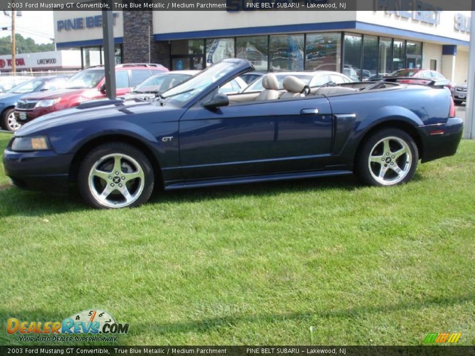 2003 Ford Mustang GT Convertible True Blue Metallic / Medium Parchment Photo #9