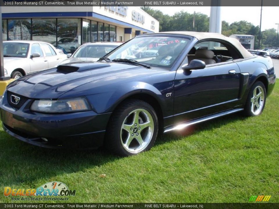 2003 Ford Mustang GT Convertible True Blue Metallic / Medium Parchment Photo #10