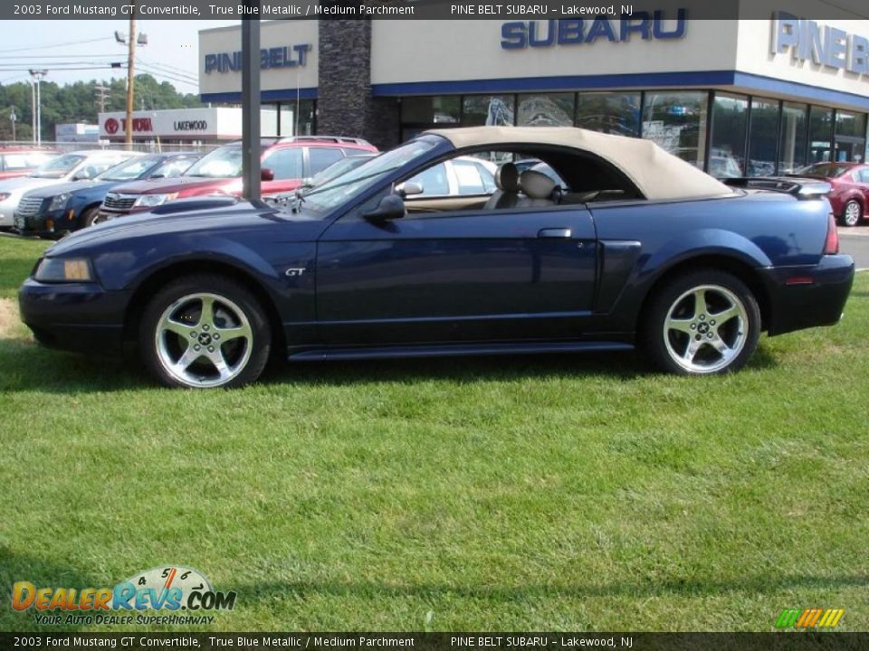 2003 Ford Mustang GT Convertible True Blue Metallic / Medium Parchment Photo #11