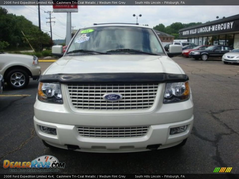2006 Ford Expedition Limited 4x4 Cashmere Tri-Coat Metallic / Medium Flint Grey Photo #6