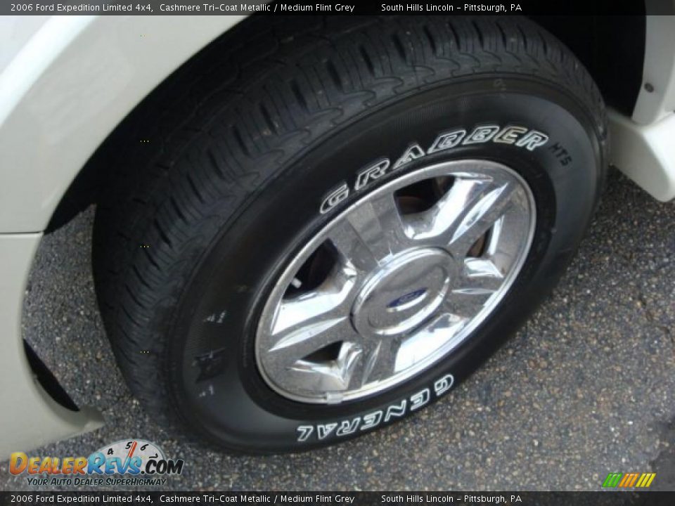 2006 Ford Expedition Limited 4x4 Cashmere Tri-Coat Metallic / Medium Flint Grey Photo #7