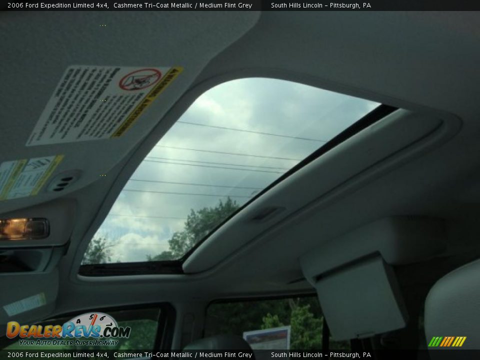 2006 Ford Expedition Limited 4x4 Cashmere Tri-Coat Metallic / Medium Flint Grey Photo #13