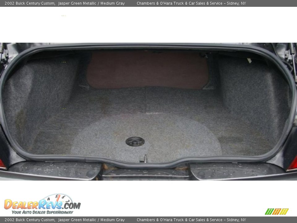 2002 Buick Century Custom Jasper Green Metallic / Medium Gray Photo #10