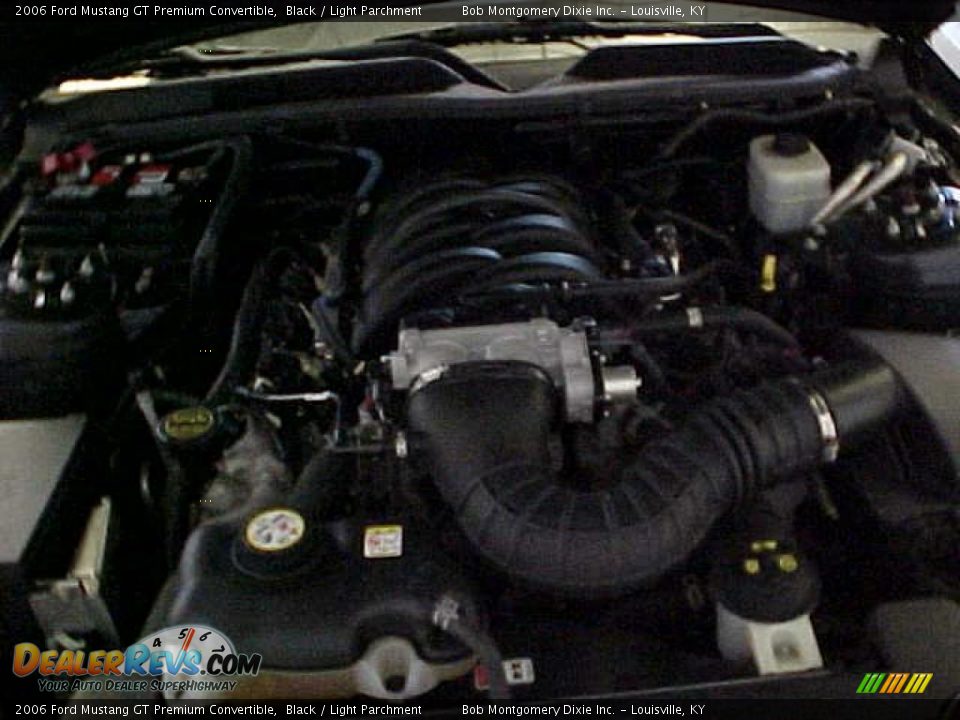 2006 Ford Mustang GT Premium Convertible Black / Light Parchment Photo #15
