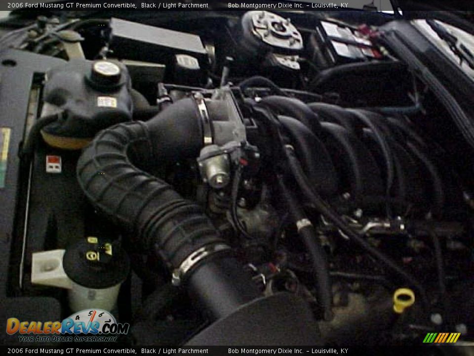 2006 Ford Mustang GT Premium Convertible Black / Light Parchment Photo #16