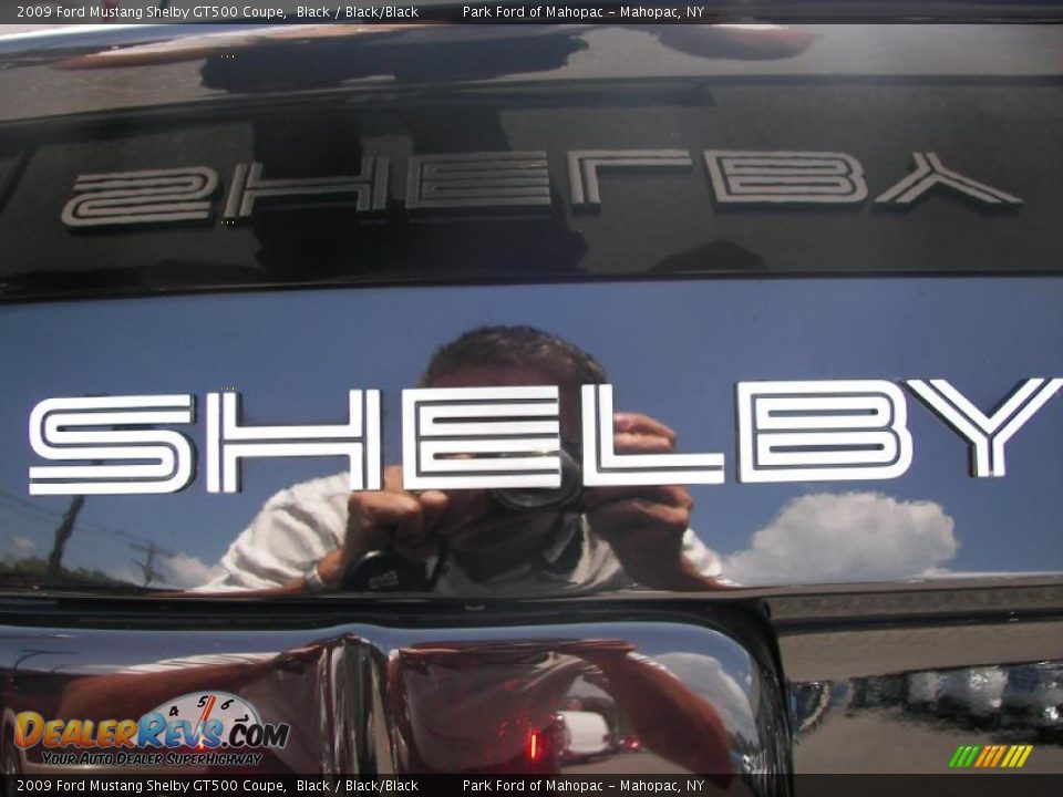 2009 Ford Mustang Shelby GT500 Coupe Logo Photo #8