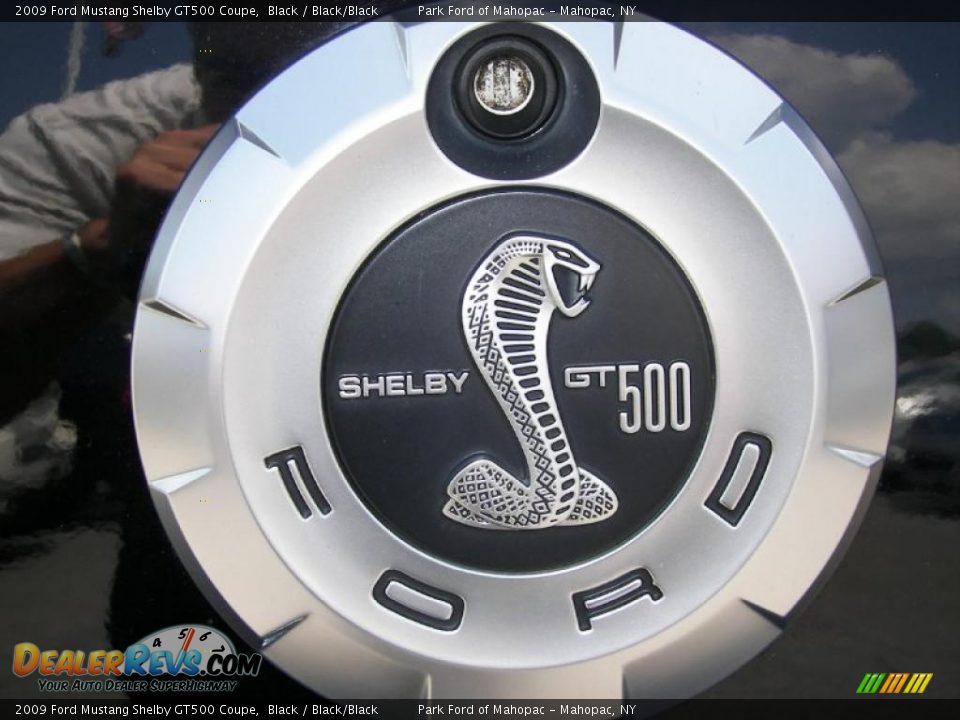 2009 Ford Mustang Shelby GT500 Coupe Logo Photo #21