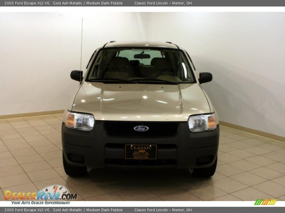 2003 Ford Escape XLS V6 Gold Ash Metallic / Medium Dark Pebble Photo #2