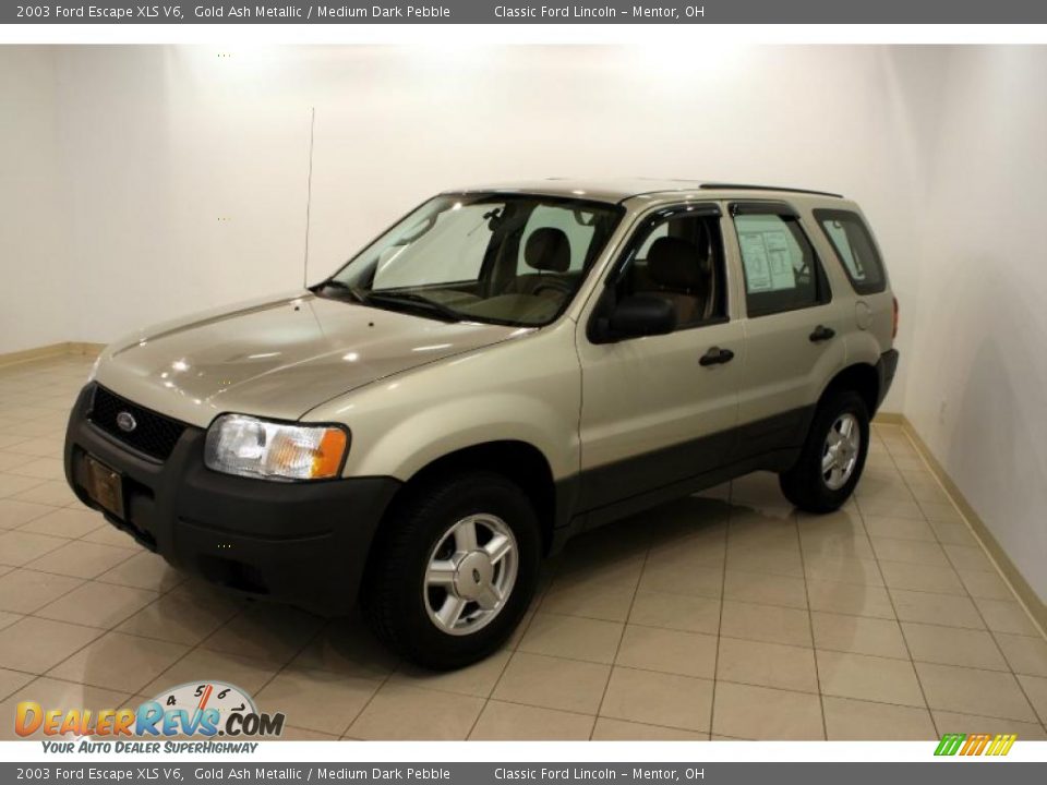 2003 Ford Escape XLS V6 Gold Ash Metallic / Medium Dark Pebble Photo #3