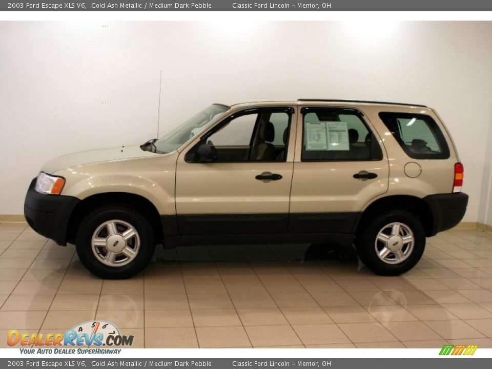 2003 Ford Escape XLS V6 Gold Ash Metallic / Medium Dark Pebble Photo #4