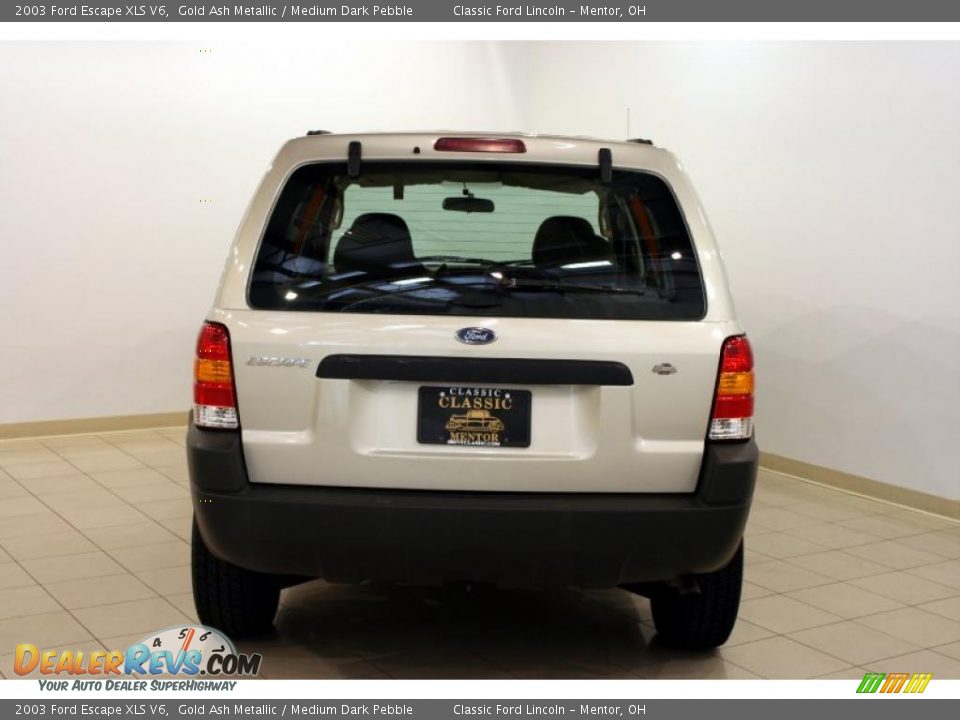 2003 Ford Escape XLS V6 Gold Ash Metallic / Medium Dark Pebble Photo #6