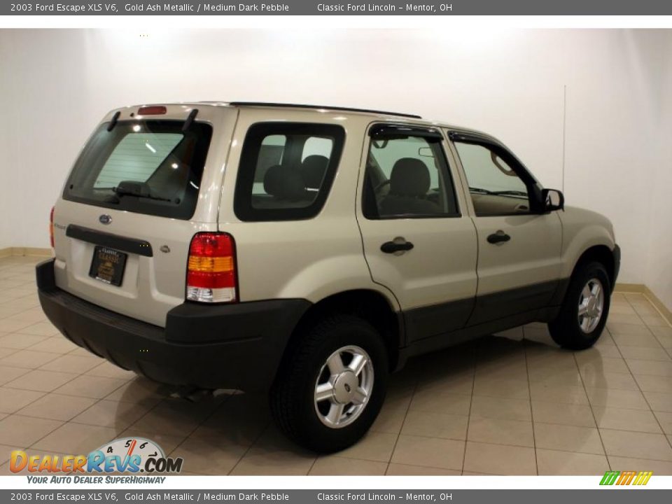 2003 Ford Escape XLS V6 Gold Ash Metallic / Medium Dark Pebble Photo #7