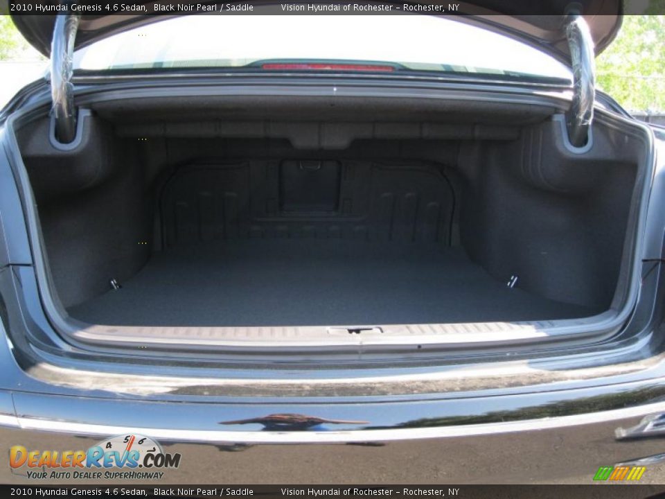 2010 Hyundai Genesis 4.6 Sedan Black Noir Pearl / Saddle Photo #4