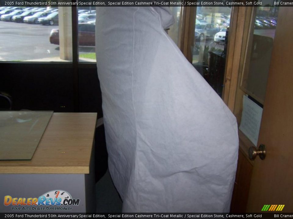 2005 Ford Thunderbird 50th Anniversary Special Edition Special Edition Cashmere Tri-Coat Metallic / Special Edition Stone, Cashmere, Soft Gold Photo #31