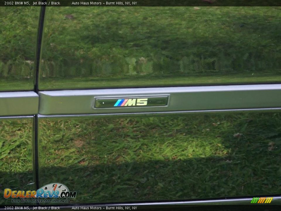 2002 BMW M5 Jet Black / Black Photo #9
