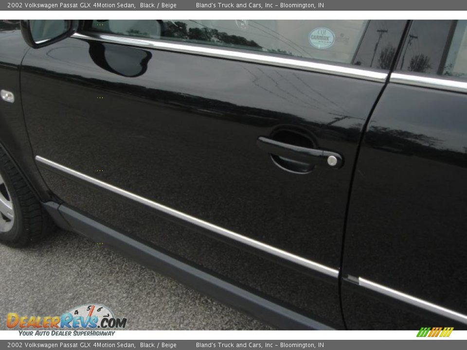 2002 Volkswagen Passat GLX 4Motion Sedan Black / Beige Photo #33