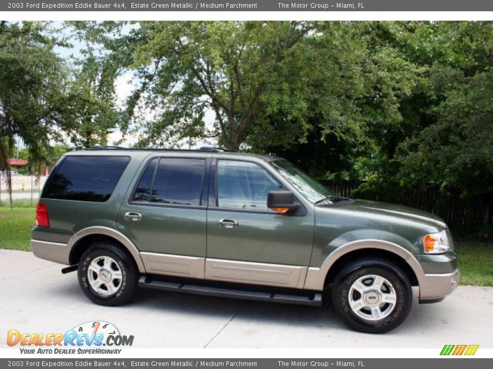 2003 Ford Expedition Eddie Bauer 4x4 Estate Green Metallic / Medium Parchment Photo #13
