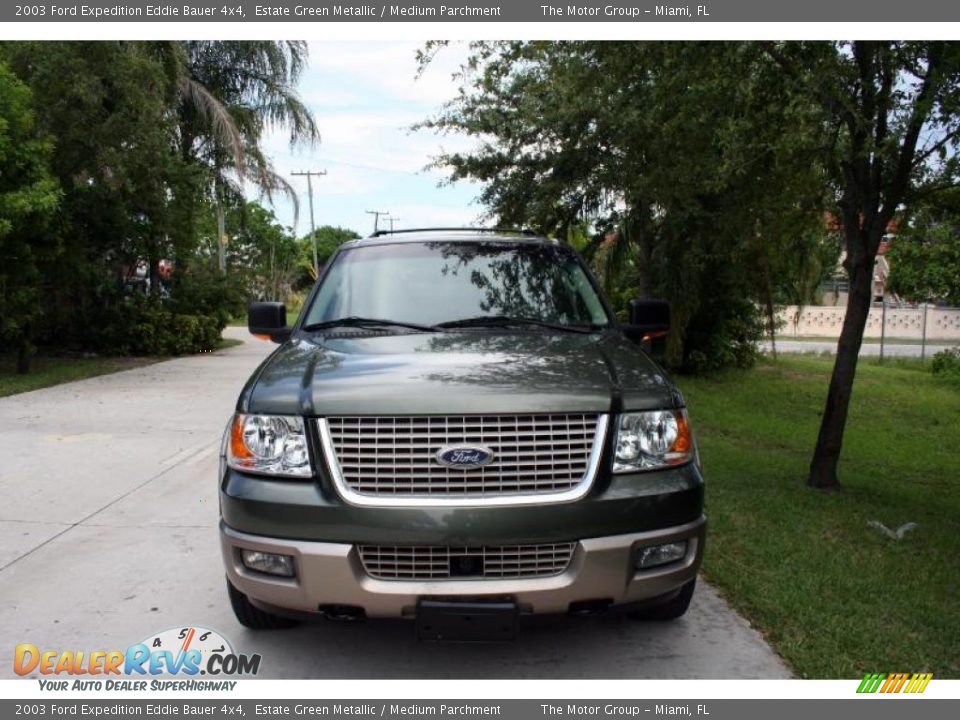 2003 Ford Expedition Eddie Bauer 4x4 Estate Green Metallic / Medium Parchment Photo #16