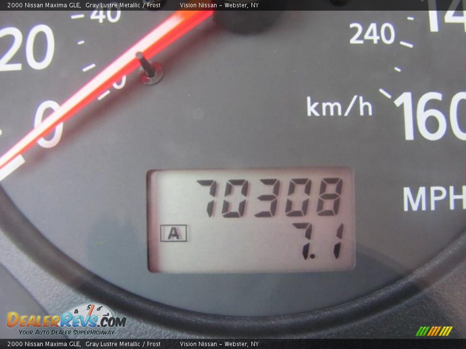 2000 Nissan Maxima GLE Gray Lustre Metallic / Frost Photo #3