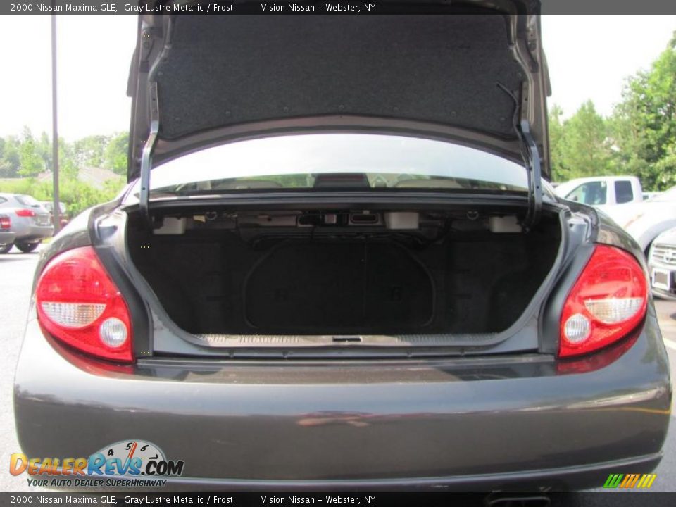 2000 Nissan Maxima GLE Gray Lustre Metallic / Frost Photo #6
