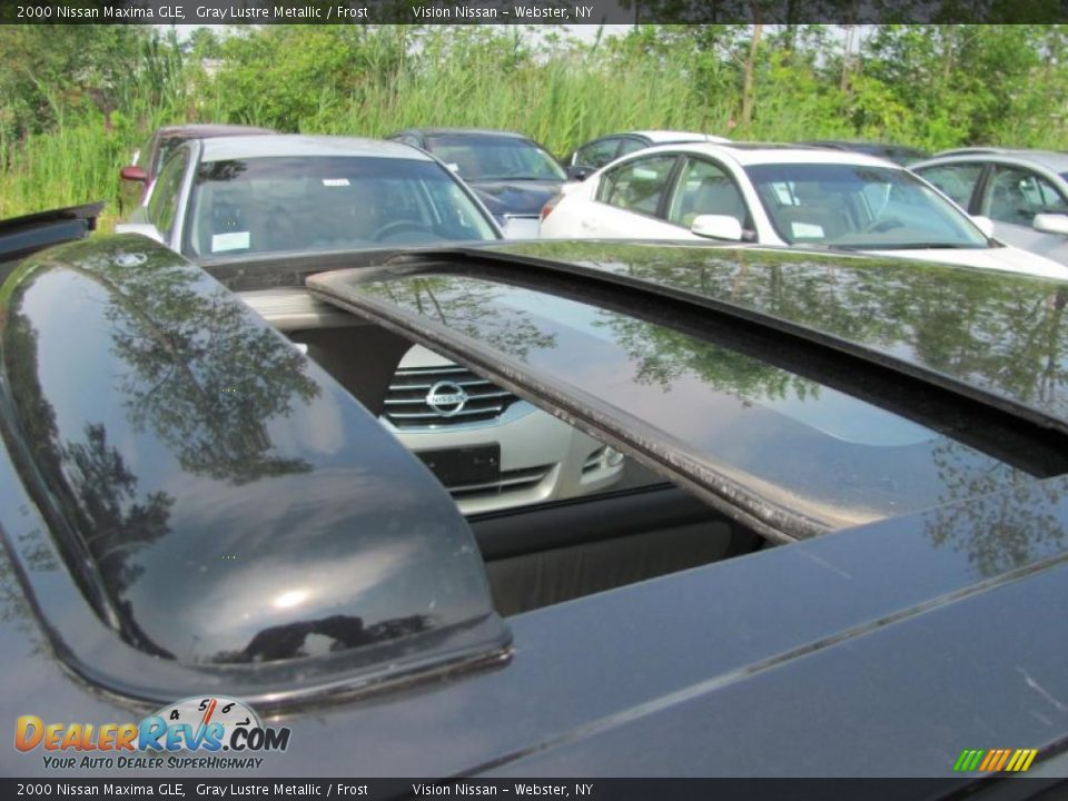 2000 Nissan Maxima GLE Gray Lustre Metallic / Frost Photo #9