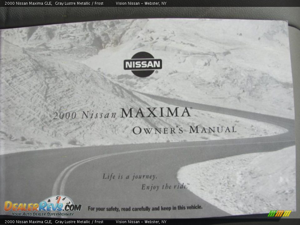 2000 Nissan Maxima GLE Gray Lustre Metallic / Frost Photo #11