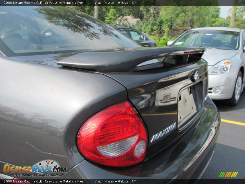 2000 Nissan Maxima GLE Gray Lustre Metallic / Frost Photo #14