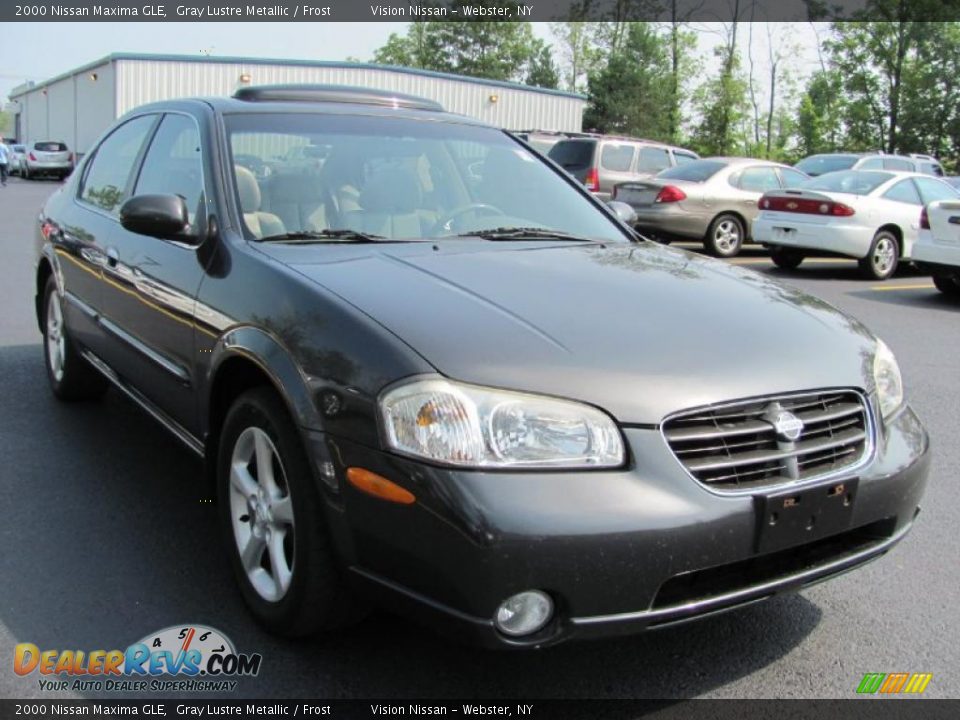 2000 Nissan Maxima GLE Gray Lustre Metallic / Frost Photo #18