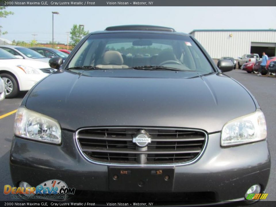 2000 Nissan Maxima GLE Gray Lustre Metallic / Frost Photo #19