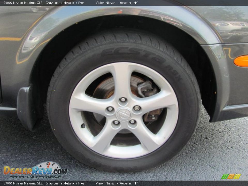 2000 Nissan Maxima GLE Gray Lustre Metallic / Frost Photo #20