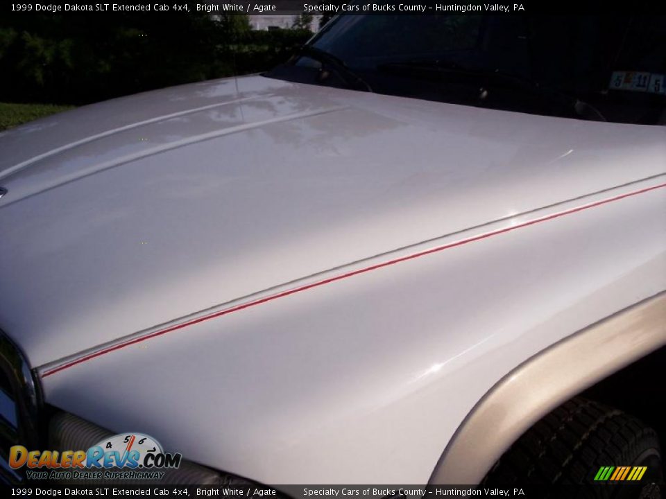 1999 Dodge Dakota SLT Extended Cab 4x4 Bright White / Agate Photo #21