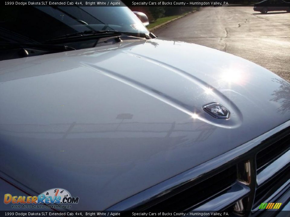1999 Dodge Dakota SLT Extended Cab 4x4 Bright White / Agate Photo #25