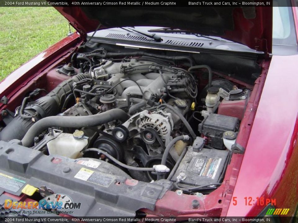 2004 Ford Mustang V6 Convertible 40th Anniversary Crimson Red Metallic / Medium Graphite Photo #13