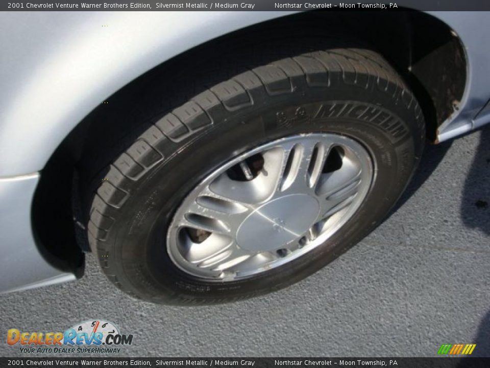 2001 Chevrolet Venture Warner Brothers Edition Silvermist Metallic / Medium Gray Photo #9