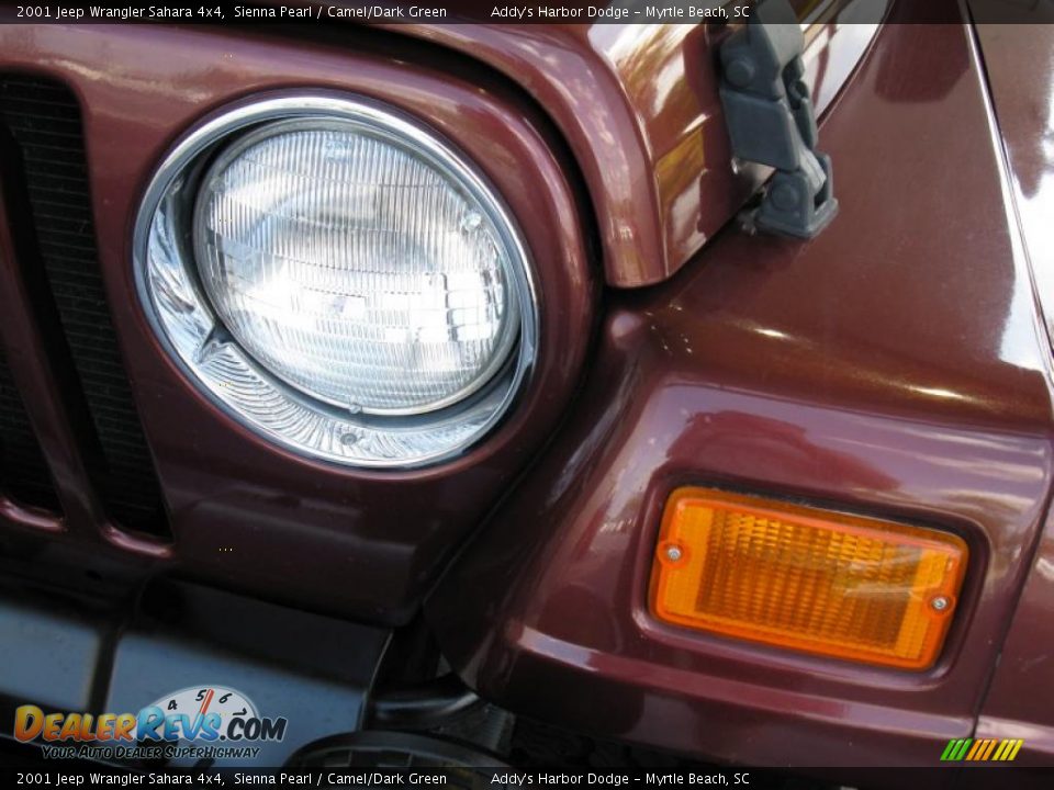 2001 Jeep Wrangler Sahara 4x4 Sienna Pearl / Camel/Dark Green Photo #7