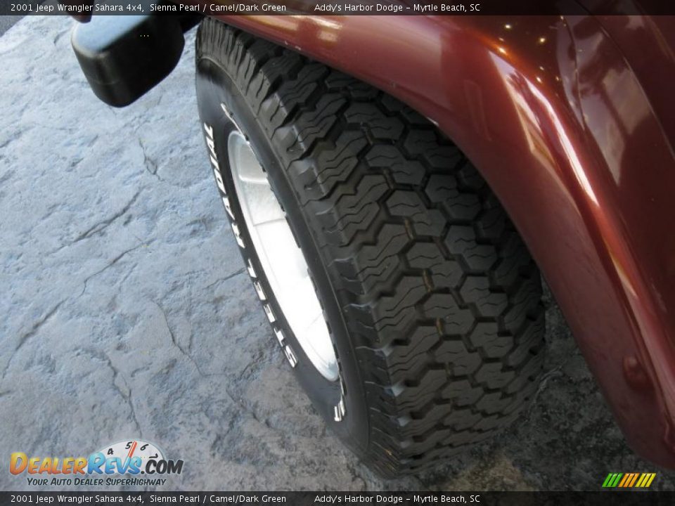 2001 Jeep Wrangler Sahara 4x4 Sienna Pearl / Camel/Dark Green Photo #8